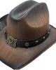 Straw Western Eagle Hatband Brown