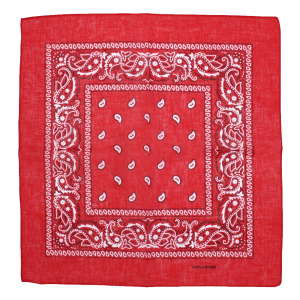 Bandana - Paisley