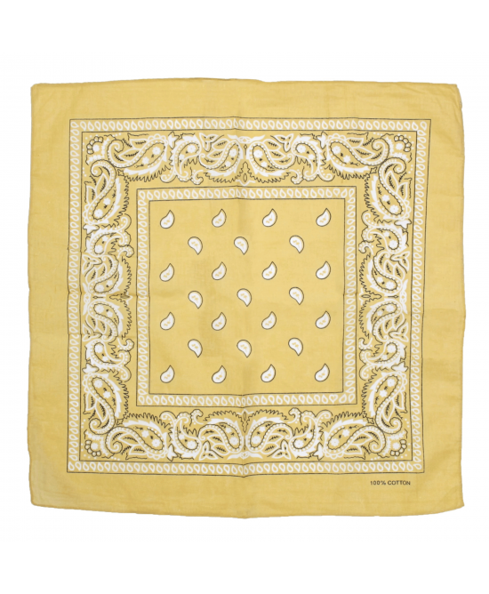Bandana - Paisley Bandana - Paisley