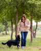 Ariat - Berber Snap Front Sweatshirt Jumper