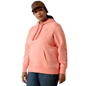 Ariat - Logo 2.0 Hoodie Pink