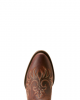 Ariat - Carlin Brown Ariat - Carlin Brown