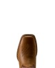Ariat - Sport Colter Wide Square Toe Western Boot