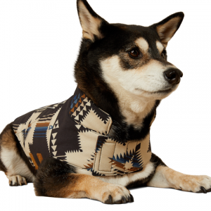 Ariat - Team Softshell Dog Jacket