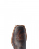 Ariat - Sport Big Country Tortuga Ariat - Sport Big Country Tortuga