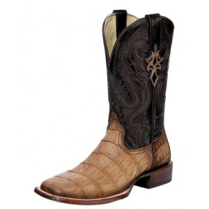 Corral - A4934 Caiman Corral - A4934 Caiman