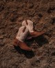 Durango - Ladies Westward™ Embroidered Brown & Cream Western Boot Durango - Ladies Westward™ Embroidered Brown & Cream Western Boot
