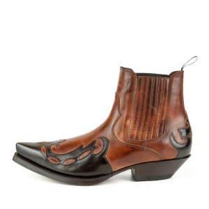 Mayura 1931 Cognac Testa