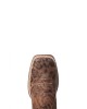 Ariat - Prime Time Faded Leopard - 10035935